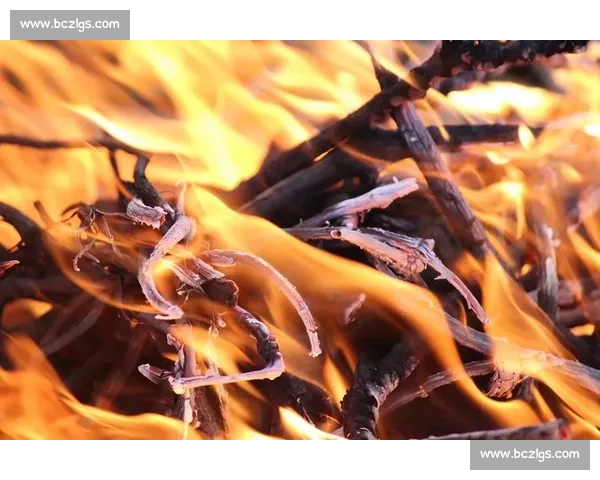 谢尔基：足球观赏性凋零，冒险精神消逝？他要重燃那团火焰